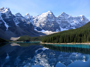 foreign-worker-program-needed-alberta