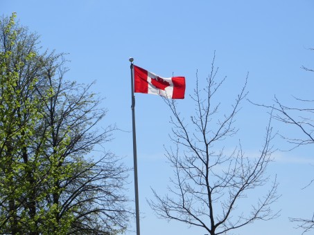 renew permanent resident card