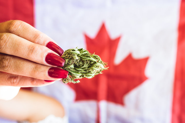 Border Security Canada Legalized Weed