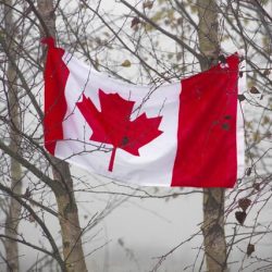 Lose Canada PR