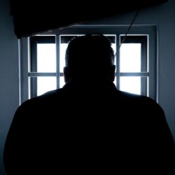Criminal Rehabilitation