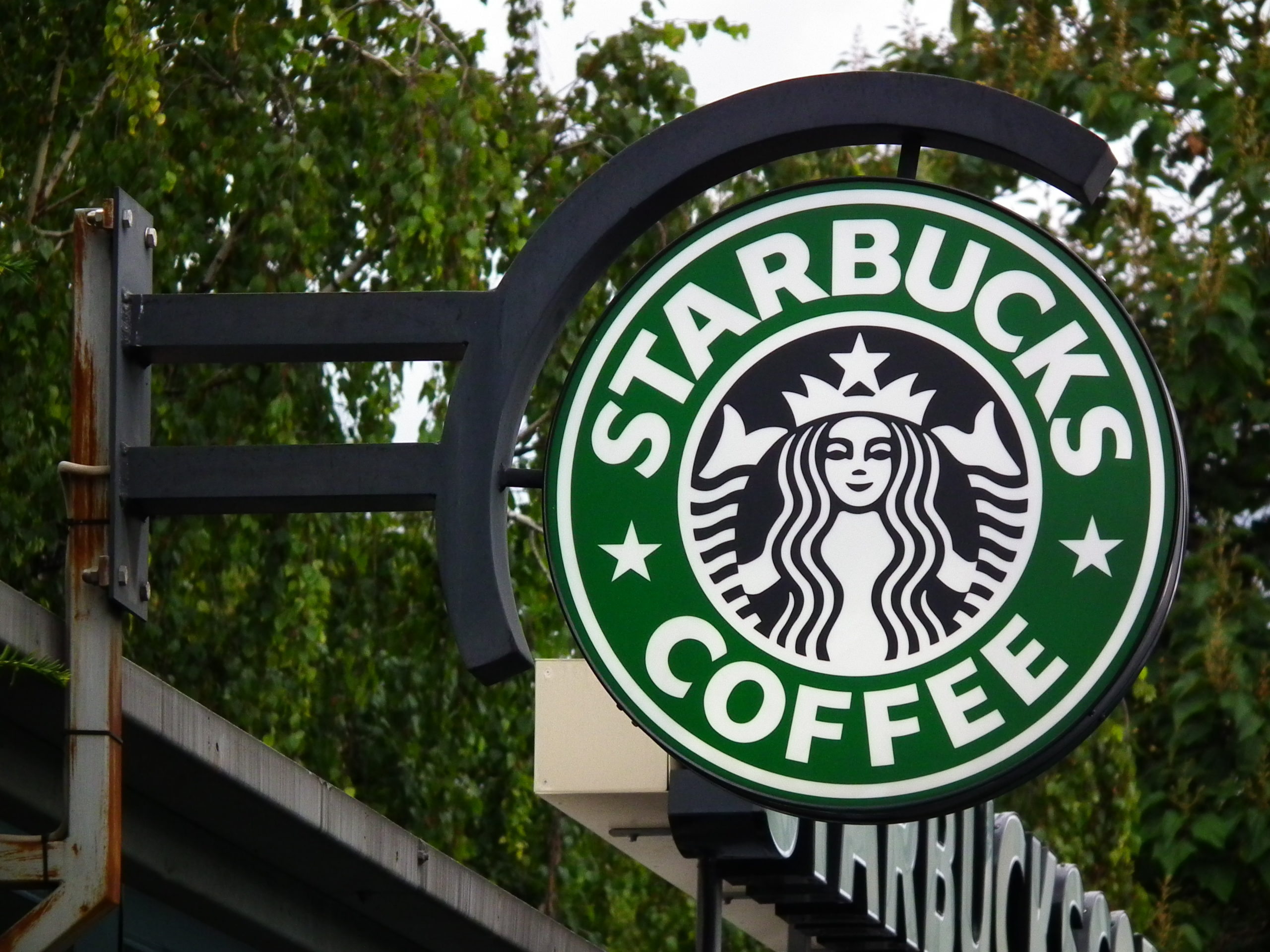 starbucks refugees