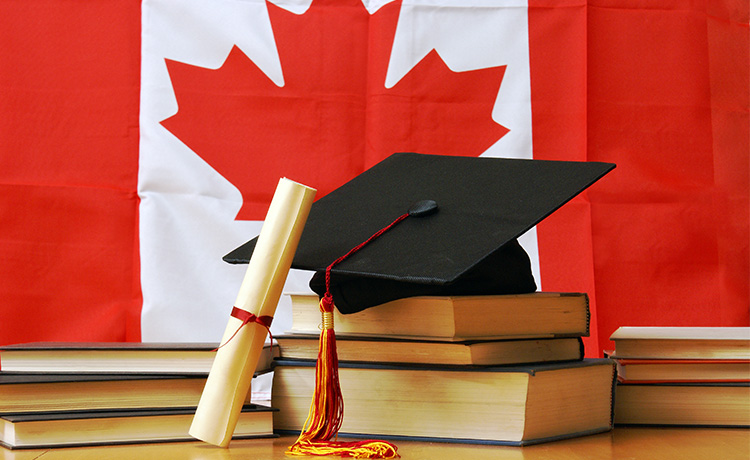 How to Work While Studying in Canada - VisaPlace