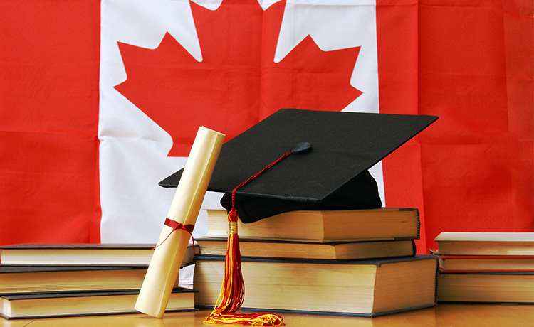 can a phd student work in canada