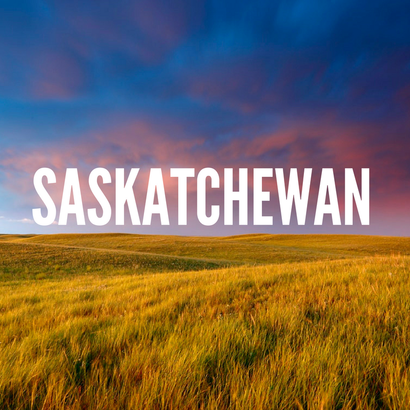 SINP latest draw 2022  Latest Saskatchewan PNP Draws 2022 SINP