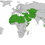 Muslimmajoritycountriesxpng
