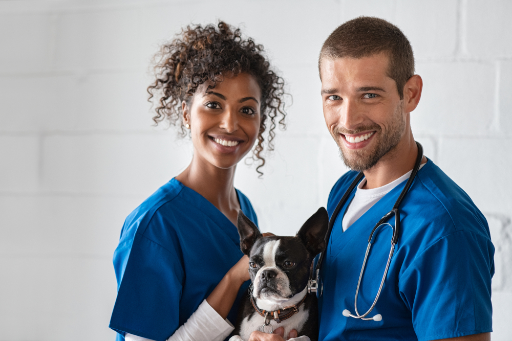 How Veterinarians Can Immigrate to Canada (NOC 3114)
