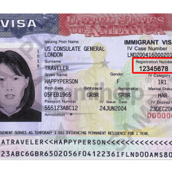 Alien Registration Number USCIS