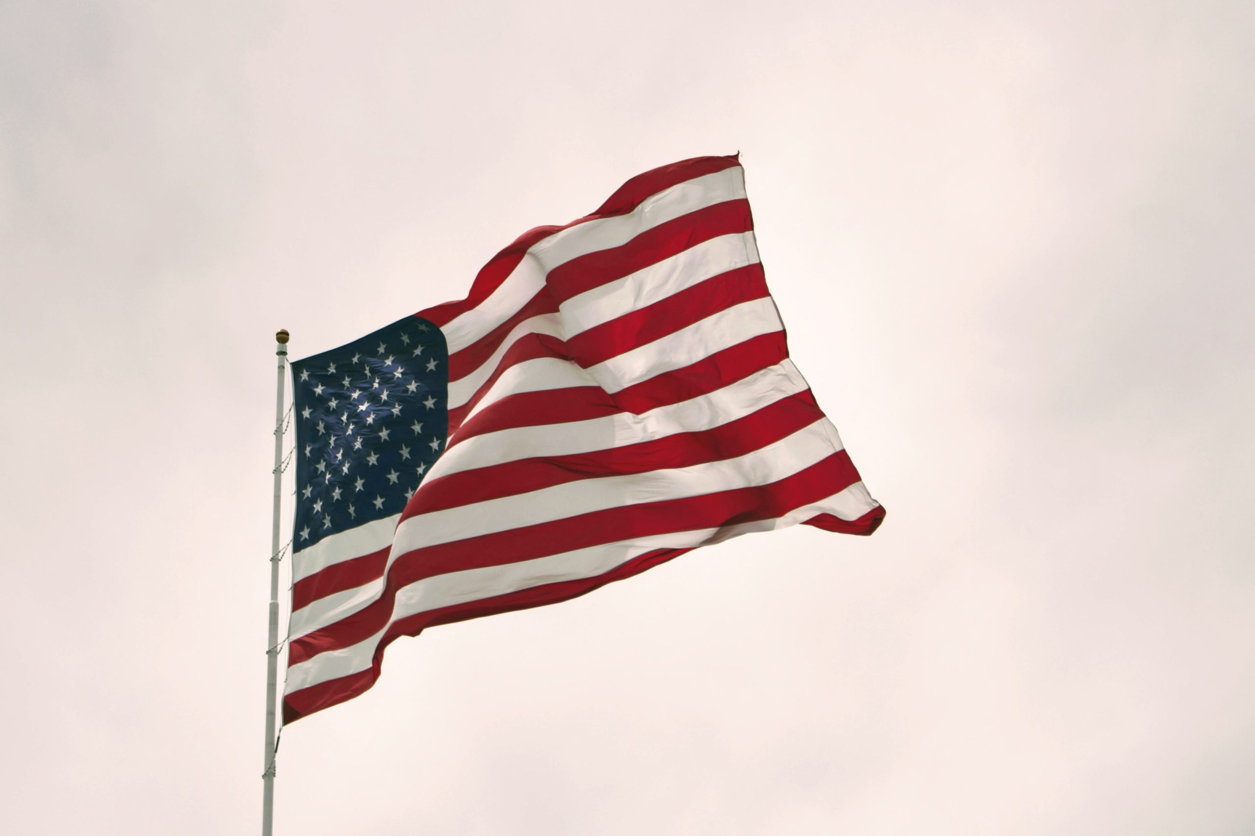 Usa Id Card Background